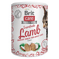Brit care 100g snack Superfruits Lamb cat