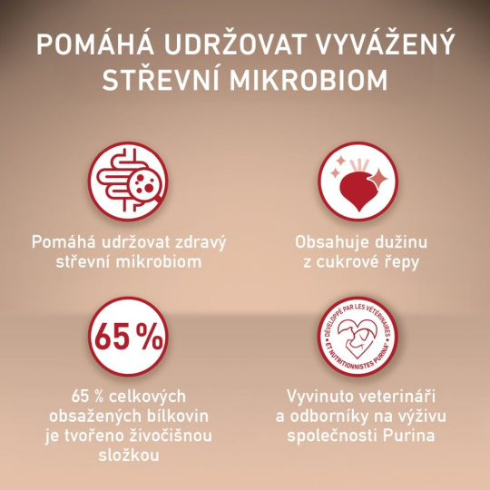 Purina One Dog Junior Mini/Small Kuřecí s rýží