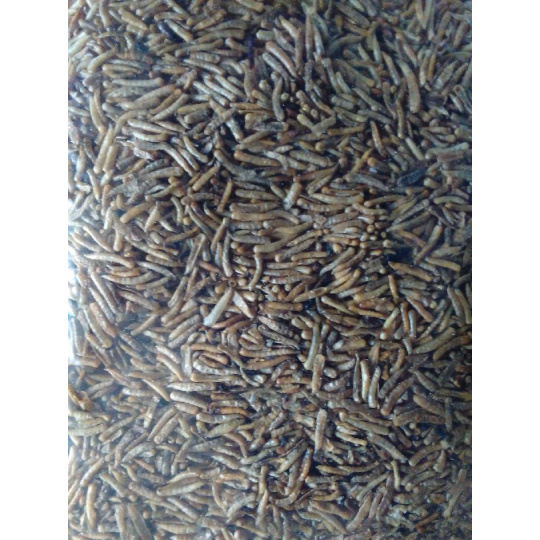 Sušená larva mouchy 500 ml