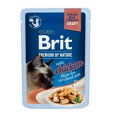 Brit Premium Cat D Fillets Gravy Chick Sterilised 85g