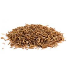 Moučný červ sušený 1 kg Moučný červ sušený 1 kg