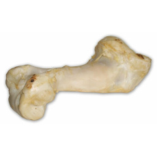 Hovězí kost bílá- extrudovaná 36cm