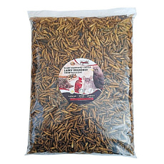 Apetit black solider fly larvea 500g Apetit black solider fly larvea 500g