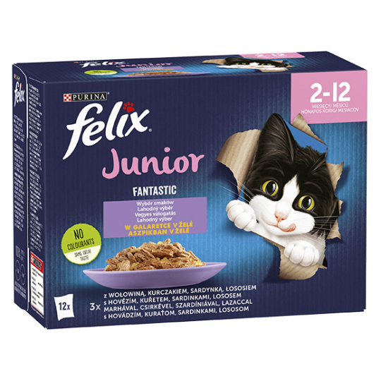 Felix Fantastic Junior Multipack 12 x 85g,  v želé : 3x kuřecí, 3x hovězí, 3x sardinky, 3x losos