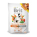 Brit animals 100g Alfalfa snack