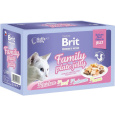 Brit Premium Cat D Fillets in Jelly Family Plate 1020g