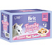 Brit Premium Cat D Fillets in Jelly Family Plate 1020g
