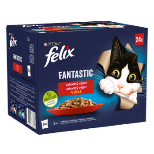 FELIX Fantastic 24x85g