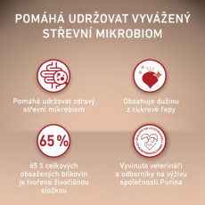 Purina One Dog Junior Mini/Small Kuřecí s rýží