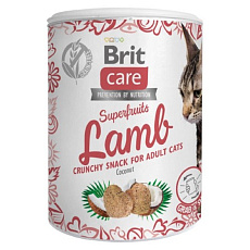 Brit care 100g snack Superfruits Lamb cat