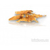 KIDDOG mořské sluneční rybičky obalené kuřecím masem 250g